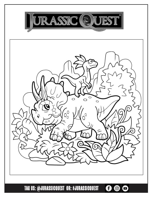 Activity print out thumbnail