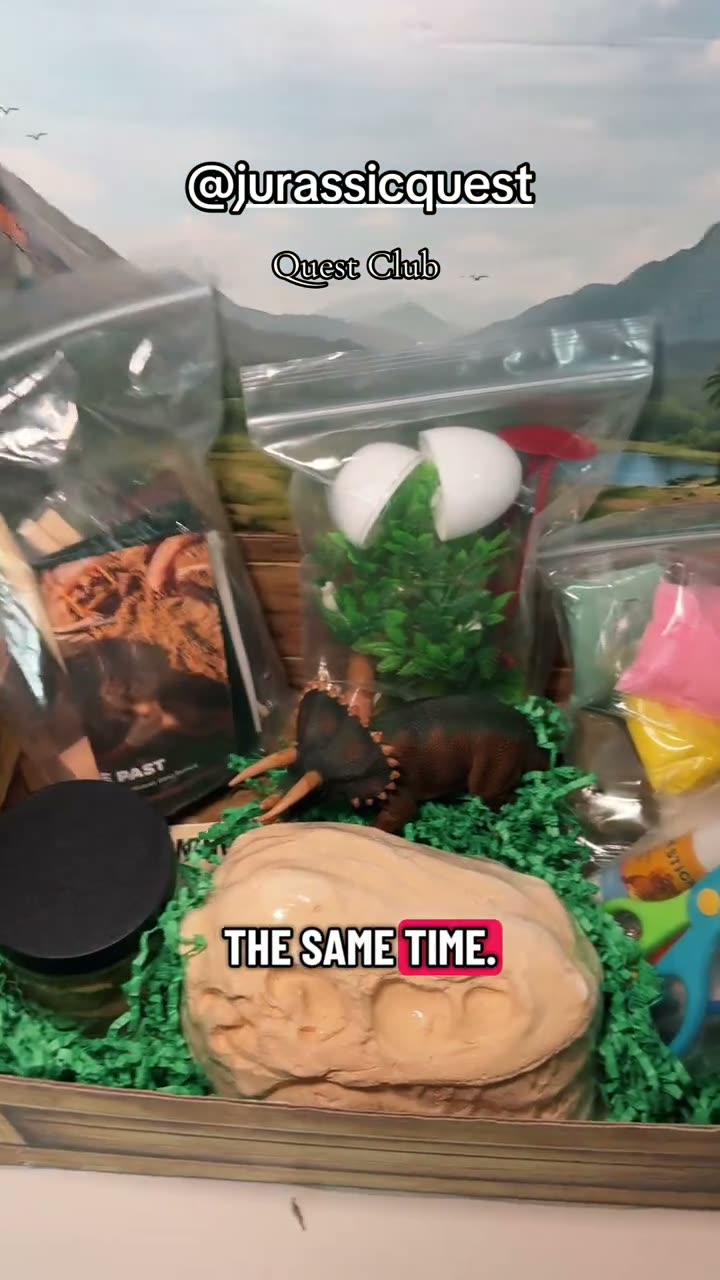 Everything inside the Quest Club box, laid out against the diorama backdrop